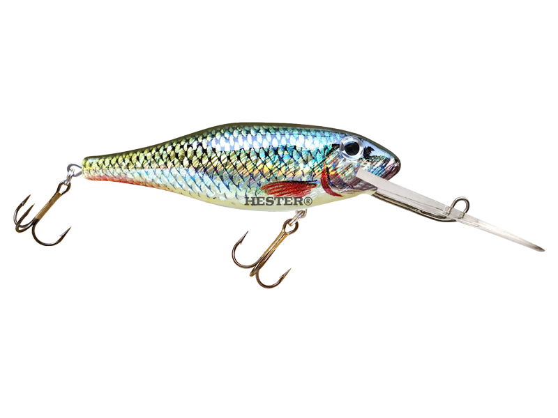 Details about   HRT Lures 5" Carp Crankbait Polish Shad New in Package 